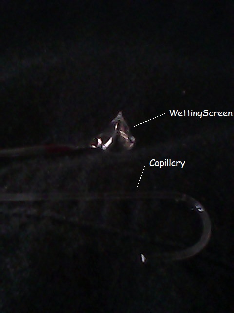 WettingCapillaryScreenExperiment
