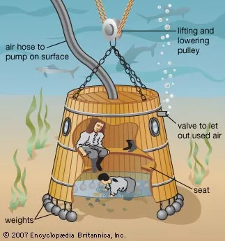 divingbell